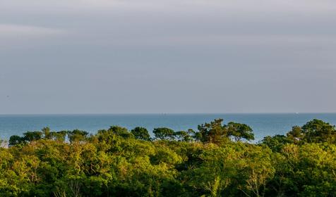 Николаев двор