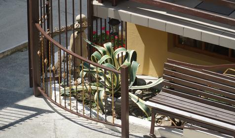 Солнечный берег