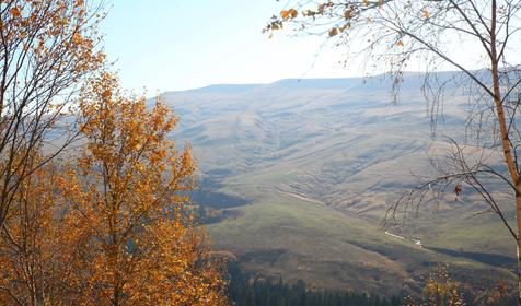 Двухэтажный коттедж комфорт