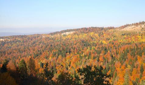 Двухэтажный коттедж комфорт