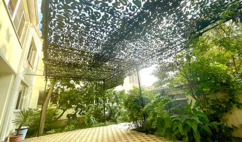 Тетушка Полли