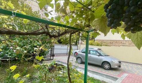 Тетушка Полли