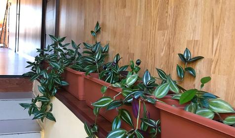 Гостевой дом Alex Home. Туапсе. Небуг