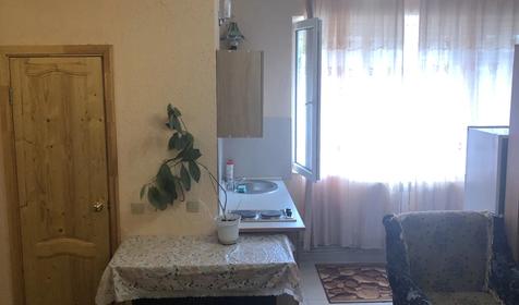 Аппартаменты, 1 этаж