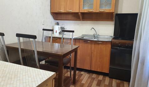 Апартаменты с кухней №16