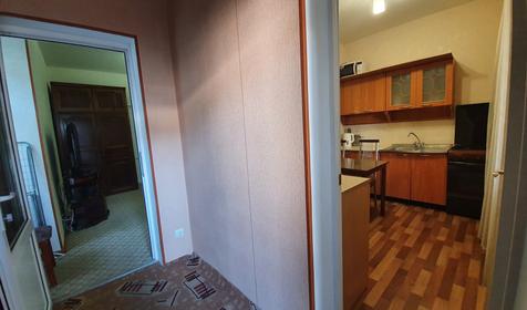 Апартаменты с кухней №16