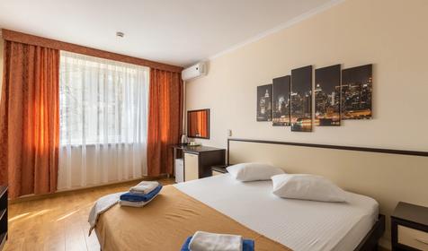 Двухместный стандарт 1 категории