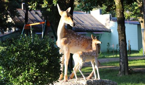 Детский оздоровительный комплекс "Дружба", Сочи, Лазаревское, Нижнее Макопсе