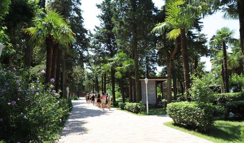 Детский оздоровительный комплекс "Дружба", Сочи, Лазаревское, Нижнее Макопсе