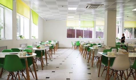 Детский оздоровительный комплекс "Дружба", Сочи, Лазаревское, Нижнее Макопсе