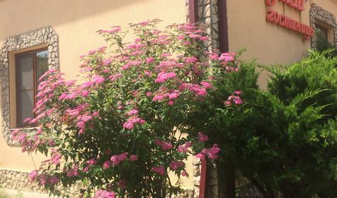 Мини-гостиница Мезмай