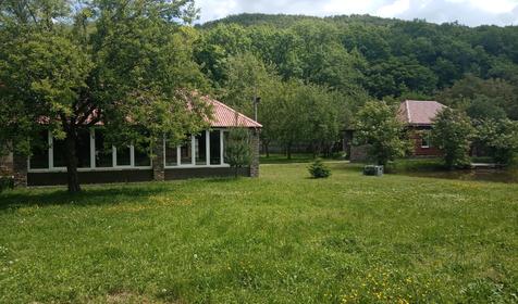 Лесной дворик