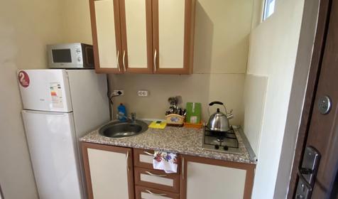 Двухместная студия с индивидуальной кухней с балконом