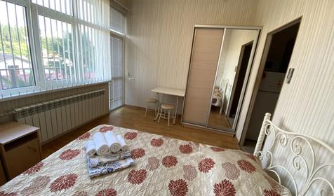 Двухместная студия с индивидуальной кухней с балконом