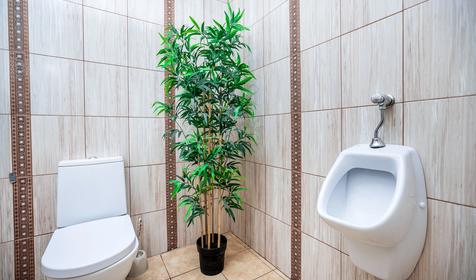 Николаев двор