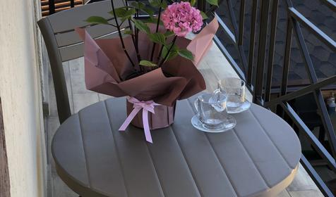 Двухкомнатный делюкс