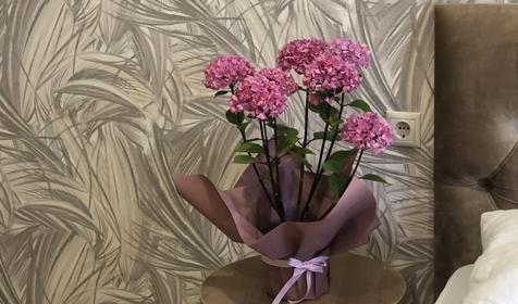 Двухкомнатный делюкс