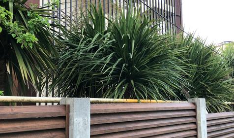 Гостевой дом Раздолье, Сочи, Раздольное