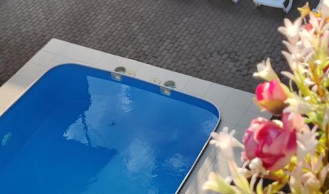 Гостевой дом АиЛ, Сочи, Лазаревское