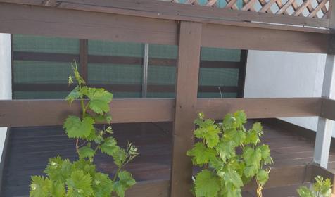 Дом двухкомнатный