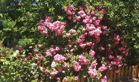 Гостевой дом на Калинина 336