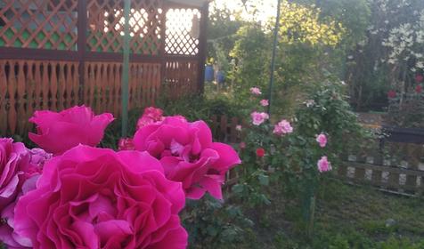 Гостевой дом на Калинина 336