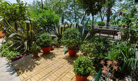 Гостиница Прибой, г. Сочи, Лазаревский район, п. Лоо