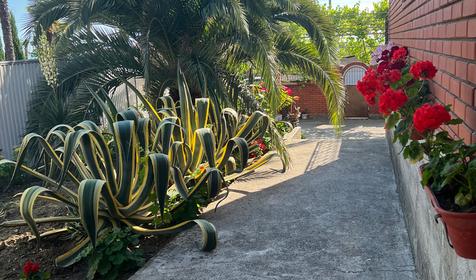 Гостевой дом У Георгия, Сочи, Лоо