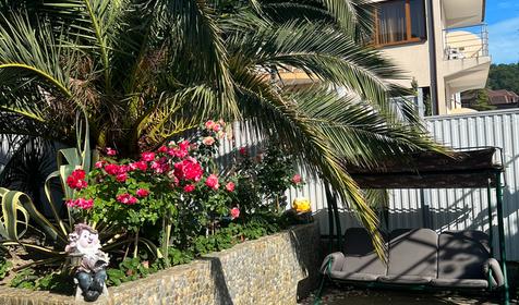 Гостевой дом У Георгия, Сочи, Лоо