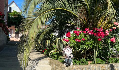 Гостевой дом У Георгия, Сочи, Лоо