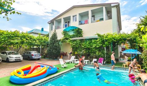 Серебристая чайка