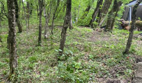 База отдыха Затерянный рай