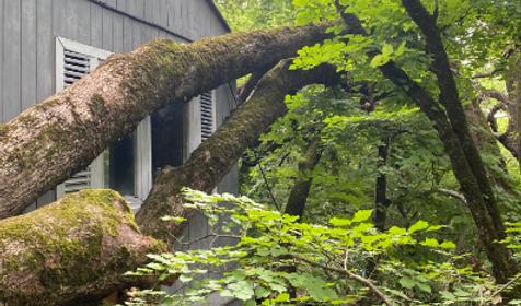 База отдыха Затерянный рай