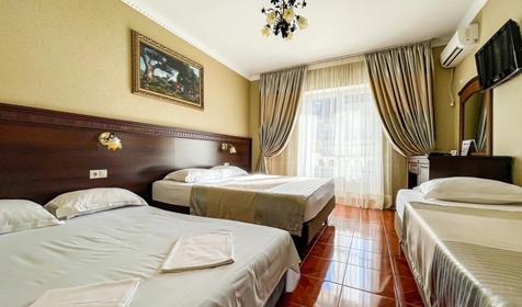 Пятиместный полулюкс