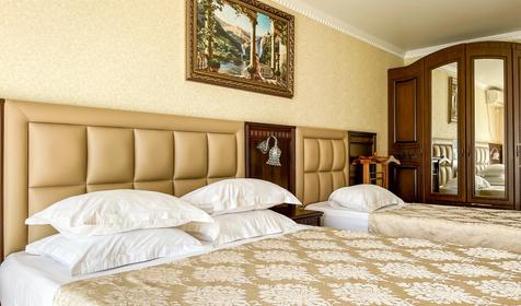 Люкс большой