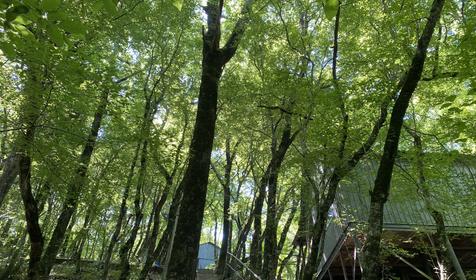 Затерянный рай