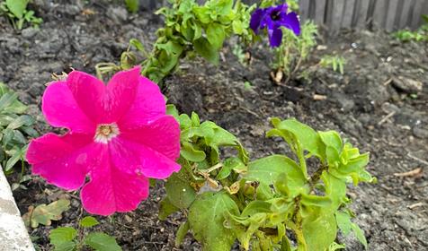 База отдыха Затерянный рай