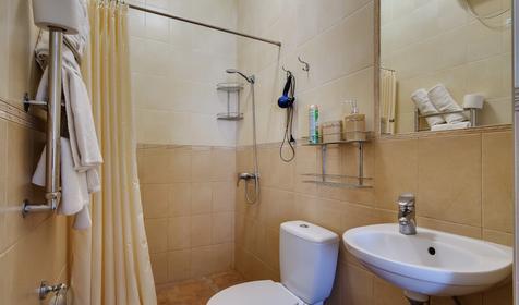 Люкс (Большой замок)