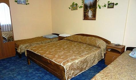 Четырехместный с видом на горы