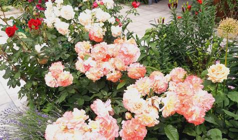 Гостевой дом У моря