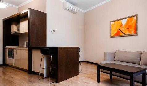 Апартаменты (Поляна 540, 1 спальня)