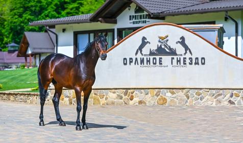 Орлиное Гнездо