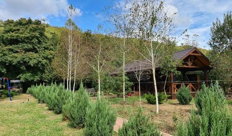 Тихий дворик