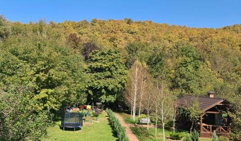 Тихий дворик