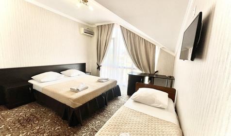 Трехместный стандарт №43