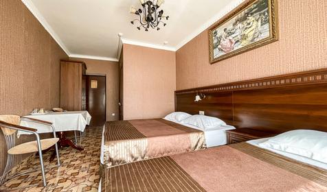 Трехместный полулюкс