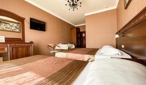 Трехместный полулюкс