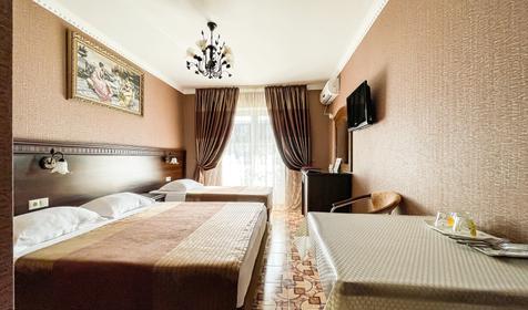 Трехместный полулюкс