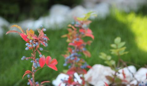 Архипо-Осиповка