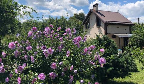 Шестиместный трехкомнатный коттедж